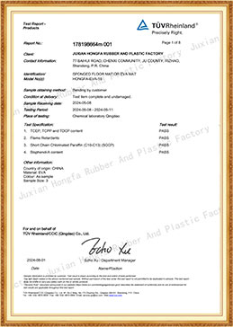 EVA MAT-2024 BAP SCCP TCCP TDCP  FLAME CERTIFICATES