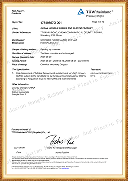 EVA MAT-2024 SVHC CERTIFICATES