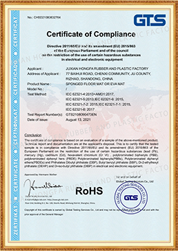 EVA MAT-ROHS CERTIFICATE-GTS-2021_00