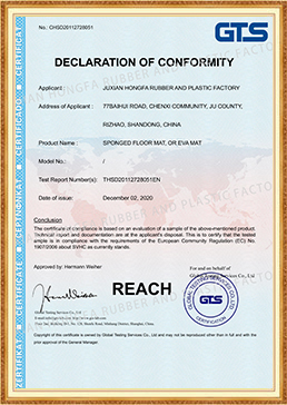 EVA MAT-REACH CERTIFICATE-GTS-2020